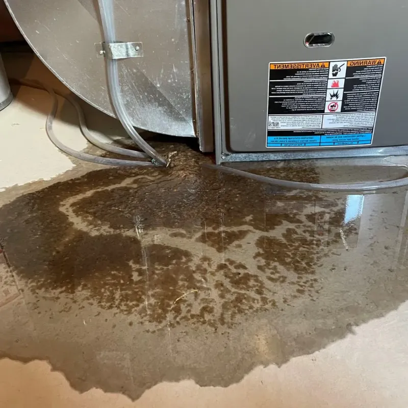 Pipe Burst and Leak Restoration in San Juan County, NM